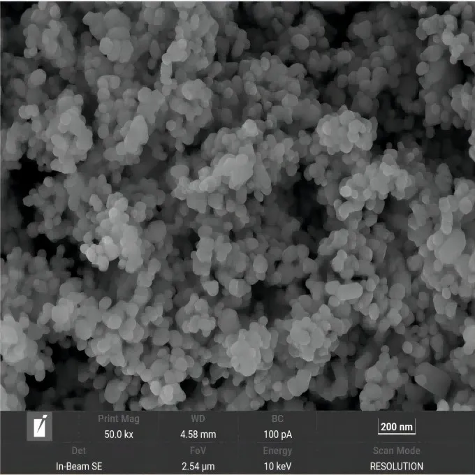 2023091859088301(1)(1)